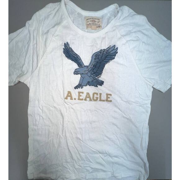 American Eagle Outfitters Other - American Eagle Vintage Classic Fit Tee Men L EUC